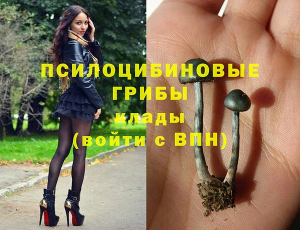 не бодяженный Зеленокумск