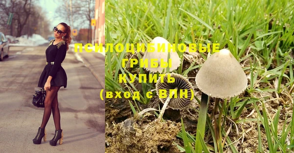 не бодяженный Зеленокумск